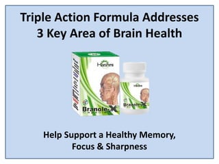 Triple Action Formula Addresses
3 Key Area of Brain Health
Help Support a Healthy Memory,
Focus & Sharpness
 