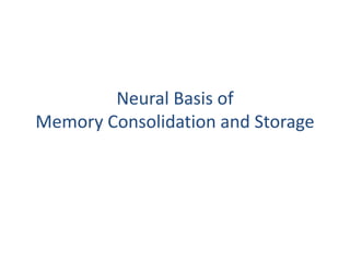 Neural Basis of
Memory Consolidation and Storage
 