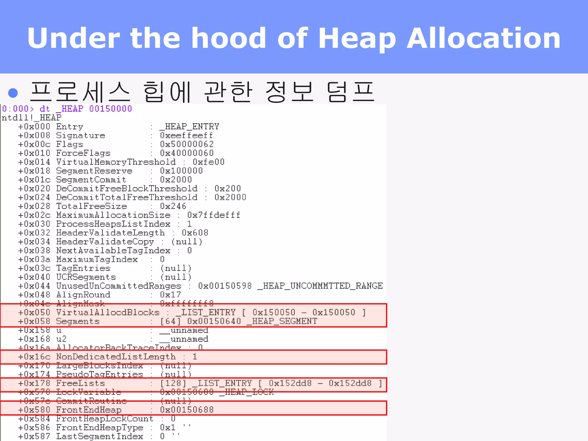 Under the hood of Heap Allocation 프로세스 힙에 관한 정보 덤프 