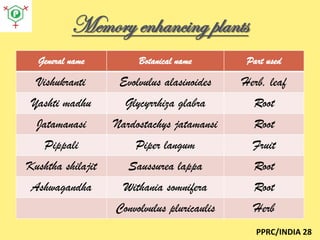 Memory enhancing plants
General name

Botanical name

Part used

Vishukranti

Evolvulus alasinoides

Herb, leaf

Yashti madhu

Glycyrrhiza glabra

Root

Jatamanasi

Nardostachys jatamansi

Root

Pippali

Piper langum

Fruit

Kushtha shilajit

Saussurea lappa

Root

Ashwagandha

Withania somnifera

Root

Convolvulus pluricaulis

Herb
PPRC/INDIA 28

 