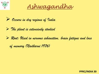 Ashwagandha
 Occurs in dry regions of India
 The plant is extensively studied

 Root: Used in nervous exhaustion, brain fatigue and loss
of memory (Nadkarni 1976)

PPRC/INDIA 30

 