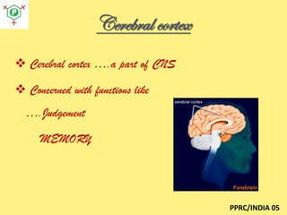 Cerebral cortex
 Cerebral cortex ….a part of CNS
 Concerned with functions like

….Judgement
MEMORY

PPRC/INDIA 05

 