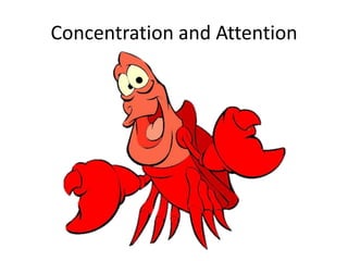 Concentration and Attention
 