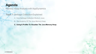 Memory Heap Analysis with AppDynamics - AppSphere16 | PDF
