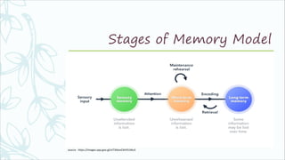 Memory in psychology | PDF