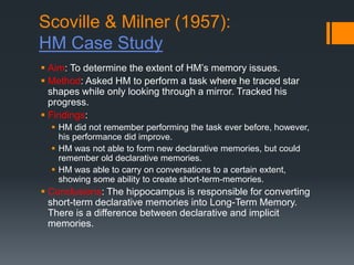 Memory pp | PPT