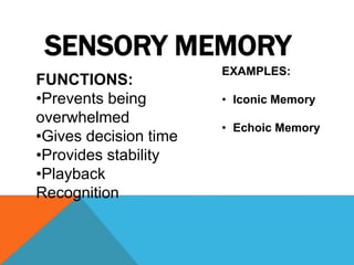 Memory | PPTX | Data Storage and Warehousing | Computing