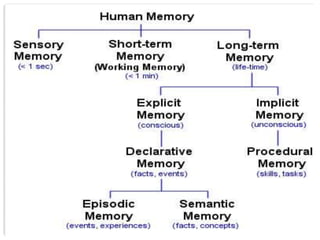 Process Of Memory