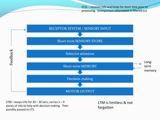 Long-
term
memory
STSS – receives info and holds for short time prior to
processing. Unimportant information is filtered out
STM – keeps info for 20 – 30 secs, carries 5 – 9
pieces of info to help with decision making. Then
possibly passed to LTS
LTM is limitless & not
forgotten
 