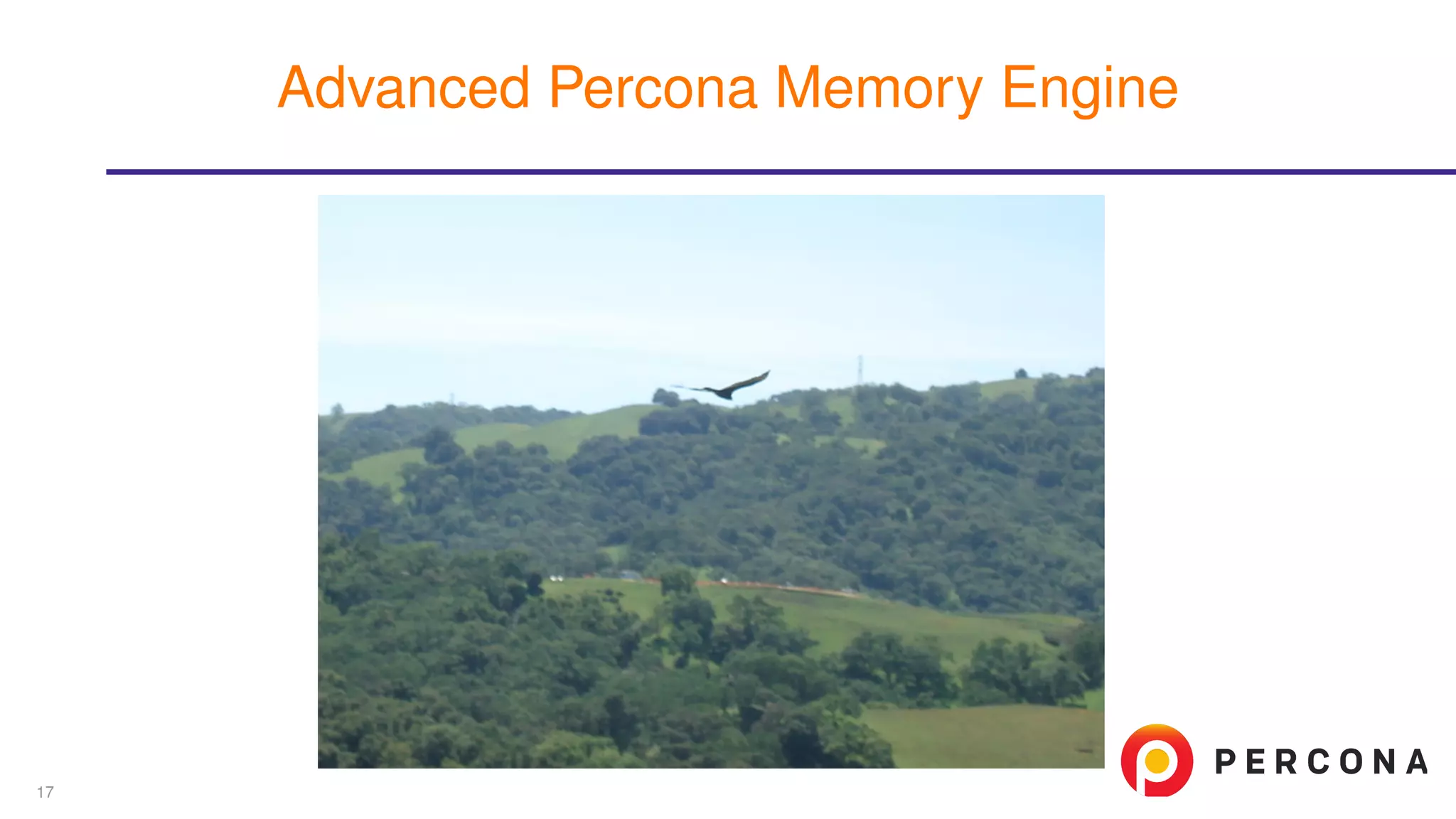 Advanced Percona Memory Engine
17
 