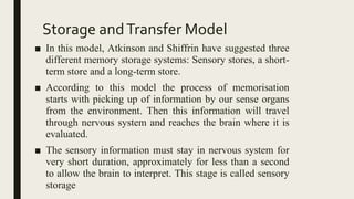 Storage andTransfer Model
■ In this model, Atkinson and Shiffrin have suggested three
different memory storage systems: Sensory stores, a short-
term store and a long-term store.
■ According to this model the process of memorisation
starts with picking up of information by our sense organs
from the environment. Then this information will travel
through nervous system and reaches the brain where it is
evaluated.
■ The sensory information must stay in nervous system for
very short duration, approximately for less than a second
to allow the brain to interpret. This stage is called sensory
storage
 