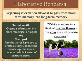 “While standing in a
ﬁeld of purple ﬂowers,
the cow ate a chocolate
cupcake.”
Elaborative Rehearsal
Organizing information...