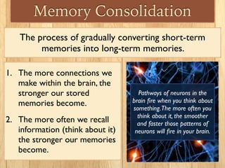Memory Consolidation
The process of gradually converting short-term
memories into long-term memories.
1. The more connecti...
