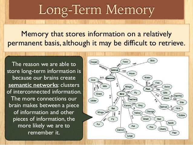 example of eidetic memory example of eidetic memory