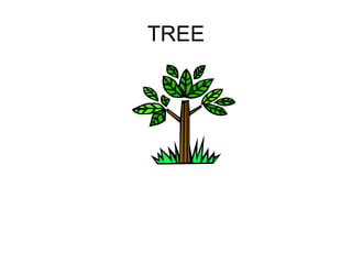 TREE 
