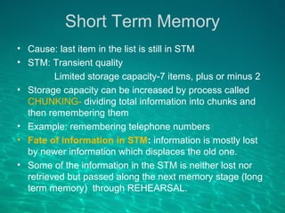 Memory theories | PPT