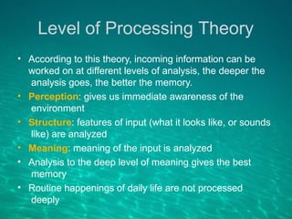 Theories and models of memory in psychology | PPTX