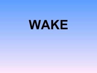 <ul><li>WAKE </li></ul>