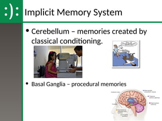 Memory and Cognition Unit PPT AP Psychology.ppt