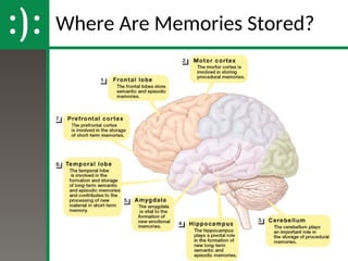 Memory and Cognition Unit PPT AP Psychology.ppt