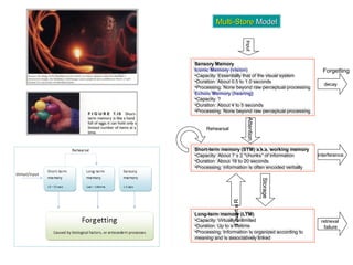 Sensory Memory
Iconic Memory (vision)
•Capacity: Essentially that of the visual system
•Duration: About 0.5 to 1.0 seconds
•Processing: None beyond raw perceptual processing
Echoic Memory (hearing}
•Capacity: ?
•Duration: About 4 to 5 seconds
•Processing: None beyond raw perceptual processing
Sensory Memory
Iconic Memory (vision)
•Capacity: Essentially that of the visual system
•Duration: About 0.5 to 1.0 seconds
•Processing: None beyond raw perceptual processing
Echoic Memory (hearing}
•Capacity: ?
•Duration: About 4 to 5 seconds
•Processing: None beyond raw perceptual processing
Short-term memory (STM) a.k.a. working memory
•Capacity: About 7 ± 2 "chunks" of information
•Duration: About 18 to 20 seconds
•Processing: information is often encoded verbally
Short-term memory (STM) a.k.a. working memory
•Capacity: About 7 ± 2 "chunks" of information
•Duration: About 18 to 20 seconds
•Processing: information is often encoded verbally
Long-term memory (LTM)
•Capacity: Virtually unlimited
•Duration: Up to a lifetime
•Processing: Information is organized according to
meaning and is associatively linked
Long-term memory (LTM)
•Capacity: Virtually unlimited
•Duration: Up to a lifetime
•Processing: Information is organized according to
meaning and is associatively linked
InputAttention
Storage
Retrieval
Rehearsal
Multi-StoreMulti-Store ModelModel
decay
interference
retrieval
failure
Forgetting
 
