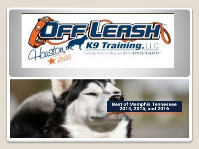 off leash k9 training locations
