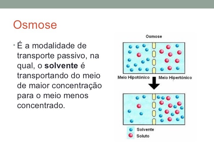 Difusao E Osmose