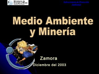 Subsecretaria de Protección
Ambiental
Zamora
Diciembre del 2003
 