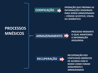 OPERAÇÃO QUE PREPARA AS
            CODIFICAÇÃO     INFORMAÇÕES SENSORIAIS
                            PARA SEREM ARMAZENADAS
                            – CÓDIGO ACÚSTICO, VISUAL
                            OU SEMÂNTICO



PROCESSOS
                                 PROCESSO MEDIANTE
MNÉSICOS    ARMAZENAMENTO
                                 O QUAL MANTEMOS
                                 A INFORMAÇÃO
                                 ADQUIRIDA




                              RECUPERAÇÃO DOS
            RECUPERAÇÃO       CONTEÚDOS MNÉSICOS
                              DE ACORDO COM O
                              MODO COMO FORAM
                              ADQUIRIDOS E
                              ARMAZENADOS
 