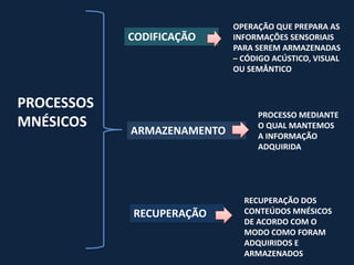 OPERAÇÃO QUE PREPARA AS
            CODIFICAÇÃO     INFORMAÇÕES SENSORIAIS
                            PARA SEREM ARMAZENADAS
                            – CÓDIGO ACÚSTICO, VISUAL
                            OU SEMÂNTICO



PROCESSOS
                                 PROCESSO MEDIANTE
MNÉSICOS    ARMAZENAMENTO
                                 O QUAL MANTEMOS
                                 A INFORMAÇÃO
                                 ADQUIRIDA




                              RECUPERAÇÃO DOS
            RECUPERAÇÃO       CONTEÚDOS MNÉSICOS
                              DE ACORDO COM O
                              MODO COMO FORAM
                              ADQUIRIDOS E
                              ARMAZENADOS
 