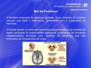 18
Mal de Parkinson
Também chamada de paralisia agitante, é um distúrbio do sistema
nervoso que afeta o movimento, geralmente com o surgimento de
tremores.
Ocorre devido à morte dos neurônios dopaminérgicos da substância
negra compacta do mesencéfalo associada à presença de inclusões
citoplasmáticas formadas pelo acúmulo de proteínas que são
chamados de corpúsculos de Lewy.
 
