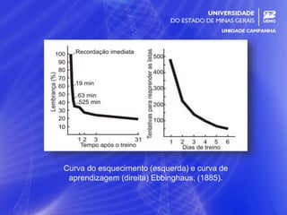 9
Curva do esquecimento (esquerda) e curva de
aprendizagem (direita) Ebbinghaus, (1885).
 