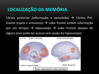 LOCALIZAÇÃO DA MEMÓRIA
Córtex posterior (Informação é percebida)  Córtex Pré-
frontal (capta e armazena)  Lobo frontal (retém informação
por um tempo)  Hipocampo  Lobo Frontal (depois de
alguns anos pode ter acesso sem ajuda do hipocampo).
 