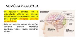 MEMÓRIA PROVOCADA
• Os resultados obtidos com a
estimulação elétrica de diversas
regiões corticais fortaleceu a ideia de
que existem múltiplos sistemas
mnemônicos.
• Pois estimulação elétrica de regiões
auditivas evocam memórias
auditivas, regiões visuais, memórias
visuais...
 