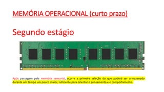 MEMÓRIA OPERACIONAL (curto prazo)
Segundo estágio
Após passagem pela memória sensorial, ocorre a primeira seleção do que poderá ser armazenado
durante um tempo um pouco maior, suficiente para orientar o pensamento e o comportamento.
 