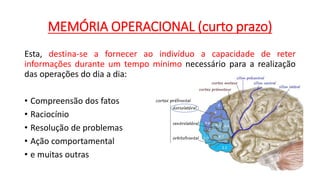 MEMÓRIA OPERACIONAL (curto prazo)
Esta, destina-se a fornecer ao indivíduo a capacidade de reter
informações durante um tempo mínimo necessário para a realização
das operações do dia a dia:
• Compreensão dos fatos
• Raciocínio
• Resolução de problemas
• Ação comportamental
• e muitas outras
 