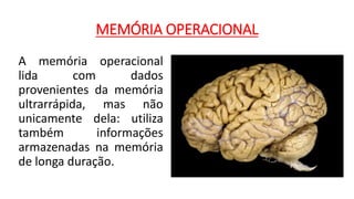 MEMÓRIA OPERACIONAL
A memória operacional
lida com dados
provenientes da memória
ultrarrápida, mas não
unicamente dela: utiliza
também informações
armazenadas na memória
de longa duração.
 