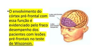 •O envolvimento do
córtex pré-frontal com
essa função é
evidenciado pelo fraco
desempenho dos
pacientes com lesões
pré-frontais no teste
de Wisconsin.
 