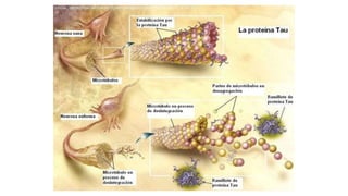 Memória e aprendizagem tudo sobre essa temática