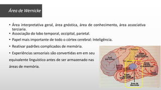 • Área interpretativa geral, área gnóstica, área de conhecimento, área associativa
terciaria.
• Associação do lobo temporal, occipital, parietal.
• Papel mais importante de todo o córtex cerebral: Inteligência.
• Reativar padrões complicados de memória.
• Experiências sensoriais são convertidas em em seu
equivalente linguístico antes de ser armazenado nas
áreas de memória.
Área de Wernicke
 