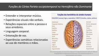 • Entender e interpretar música.
• Experiências visuais não verbais.
• Relações espaciais entre a pessoa e
seus arredores.
• Linguagem corporal.
• Entonação de voz.
• Experiências somáticas relacionadas
ao uso de membros e mãos.
Funções do Córtex Parieto-occiptotemporal no Hemisfério não Dominante
http://www.google.com.br/url?sa=i&source=images&cd=&cad=rja&uact=8&ved=
0CAgQjRw&url=http%3A%2F%2Famavc.com.br%2Fentendendo-o-
funcionamento-do-cerebro
 