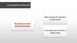 Repetição mental
(potencialização)
Mais tempo de memória
a curto prazo
Formação de memória a
longo prazo
Consolidação da Memória
 