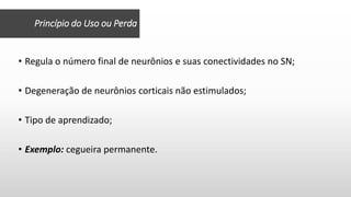 Princípio do Uso ou Perda
• Regula o número final de neurônios e suas conectividades no SN;
• Degeneração de neurônios corticais não estimulados;
• Tipo de aprendizado;
• Exemplo: cegueira permanente.
 