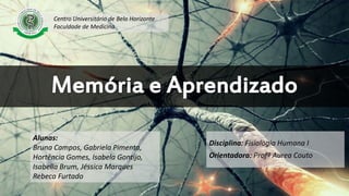 Memória e Aprendizado
Disciplina: Fisiologia Humana I
Orientadora: Profª Aurea Couto
Alunas:
Bruna Campos, Gabriela Pimenta,
Hortência Gomes, Isabela Gontijo,
Isabella Brum, Jéssica Marques
Rebeca Furtado
Centro Universitário de Belo Horizonte
Faculdade de Medicina
 