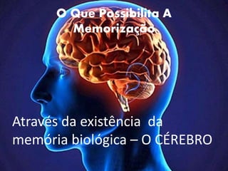 O Que Possibilita A
Memorização
Através da existência da
memória biológica – O CÉREBRO
 