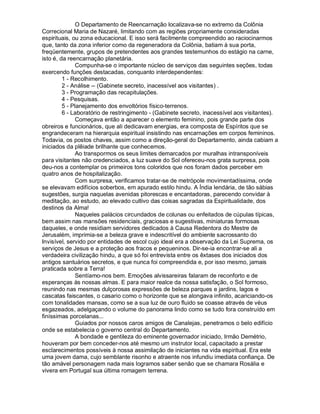 O Departamento de Reencarnação localizava-se no extremo da Colônia
Correcional Maria de Nazaré, limitando com as regiões propriamente consideradas
espirituais, ou zona educacional. E isso será facilmente compreendido ao raciocinarmos
que, tanto da zona inferior como da regeneradora da Colônia, batiam à sua porta,
freqüentemente, grupos de pretendentes aos grandes testemunhos do estágio na carne,
isto é, da reencarnação planetária.
               Compunha-se o importante núcleo de serviços das seguintes seções, todas
exercendo funções destacadas, conquanto interdependentes:
         1 - Recolhimento.
         2 - Análise -- (Gabinete secreto, inacessível aos visitantes) .
         3 - Programação das recapitulações.
         4 - Pesquisas.
         5 - Planejamento dos envoltórios físico-terrenos.
         6 - Laboratório de restringimento - (Gabinete secreto, inacessível aos visitantes).
               Começava então a aparecer o elemento feminino, pois grande parte dos
obreiros e funcionários, que ali dedicavam energias, era composta de Espíritos que se
engrandeceram na hierarquia espiritual insistindo nas encarnações em corpos femininos.
Todavia, os postos chaves, assim como a direção-geral do Departamento, ainda cabiam a
iniciados da plêiade brilhante que conhecemos.
               Ao transpormos os seus limites demarcados por muralhas intransponíveis
para visitantes não credenciados, a luz suave do Sol ofereceu-nos grata surpresa, pois
deu-nos a contemplar os primeiros tons coloridos que nos foram dados perceber em
quatro anos de hospitalização.
               Com surpresa, verificamos tratar-se de metrópole movimentadíssima, onde
se elevavam edifícios soberbos, em apurado estilo hindu. A Índia lendária, de tão sábias
sugestões, surgia naquelas avenidas pitorescas e encantadoras, parecendo convidar à
meditação, ao estudo, ao elevado cultivo das coisas sagradas da Espiritualidade, dos
destinos da Alma!
               Naqueles palácios circundados de colunas ou enfeitados de cúpulas típicas,
bem assim nas mansões residenciais, graciosas e sugestivas, miniaturas formosas
daqueles, e onde residiam servidores dedicados à Causa Redentora do Mestre de
Jerusalém, imprimia-se a beleza grave e indescritível do ambiente sacrossanto do
Invisível, servido por entidades de escol cujo ideal era a observação da Lei Suprema, os
serviços de Jesus e a proteção aos fracos e pequeninos. Dir-se-ia encontrar-se ali a
verdadeira civilização hindu, a que só foi entrevista entre os êxtases dos iniciados dos
antigos santuários secretos, e que nunca foi compreendida e, por isso mesmo, jamais
praticada sobre a Terra!
               Sentíamo-nos bem. Emoções alvissareiras falaram de reconforto e de
esperanças às nossas almas. E para maior realce da nossa satisfação, o Sol formoso,
reunindo nas mesmas dulçorosas expressões de beleza parques e jardins, lagos e
cascatas faiscantes, o casario como o horizonte que se alongava infinito, acariciando-os
com tonalidades mansas, como se a sua luz de ouro fluido se coasse através de véus
esgazeados, adelgaçando o volume do panorama lindo como se tudo fora construído em
finíssimas porcelanas...
               Guiados por nossos caros amigos de Canalejas, penetramos o belo edifício
onde se estabelecia o governo central do Departamento.
               A bondade e gentileza do eminente governador iniciado, Irmão Demétrio,
houveram por bem conceder-nos até mesmo um instrutor local, capacitado a prestar
esclarecimentos possíveis à nossa assimilação de iniciantes na vida espiritual. Era este
uma jovem dama, cujo semblante risonho e atraente nos infundiu imediata confiança. De
tão amável personagem nada mais logramos saber senão que se chamara Rosália e
vivera em Portugal sua última romagem terrena.
 