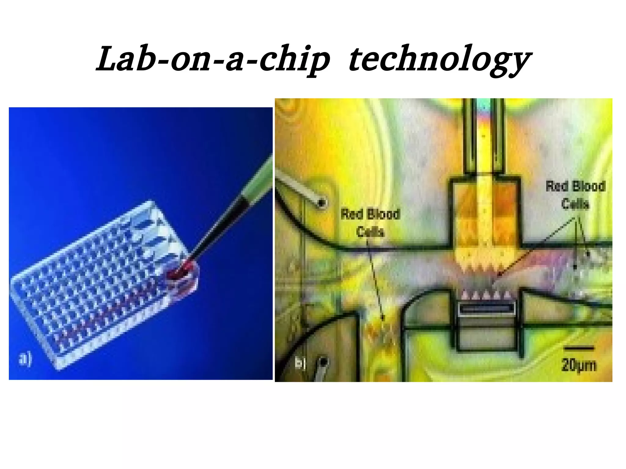 Lab-on-a-chip technology
 