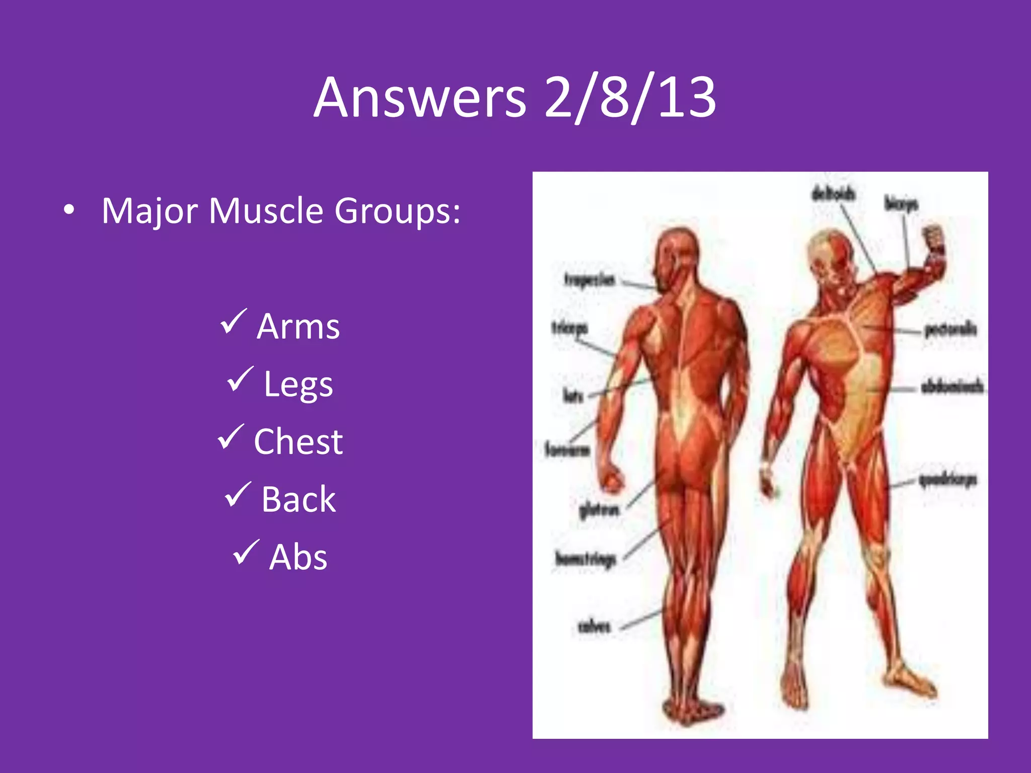 Answers 2/8/13
• Major Muscle Groups:

         Arms
         Legs
         Chest
         Back
         Abs
 