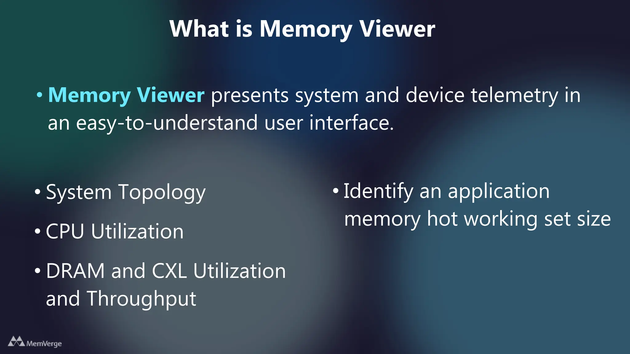 MemVerge: Memory Viewer Software | PPT