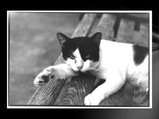 Me, myself, my artwork01